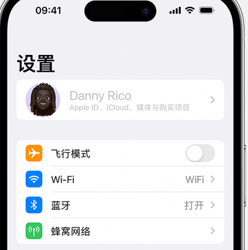 新野appleID维修服务iPhone设置中Apple ID显示为灰色无法使用 