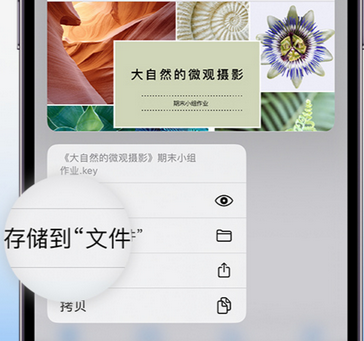 新野apple维修中心分享iPhone文件应用中存储和找到下载文件