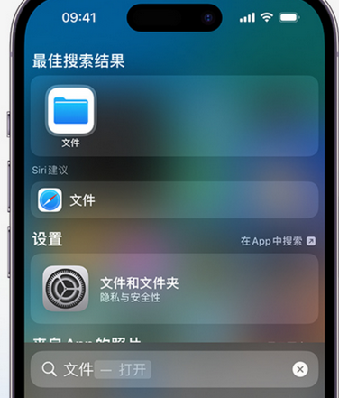 新野apple维修中心分享iPhone文件应用中存储和找到下载文件