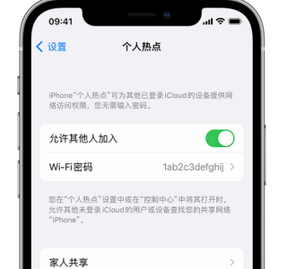 新野apple服务站点分享iPhone上个人热点丢失了怎么办 