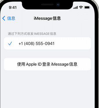 新野apple维修iPhone上无法正常发送iMessage信息 