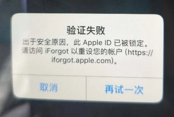 新野iPhone维修分享iPhone上正常登录或使用AppleID怎么办 