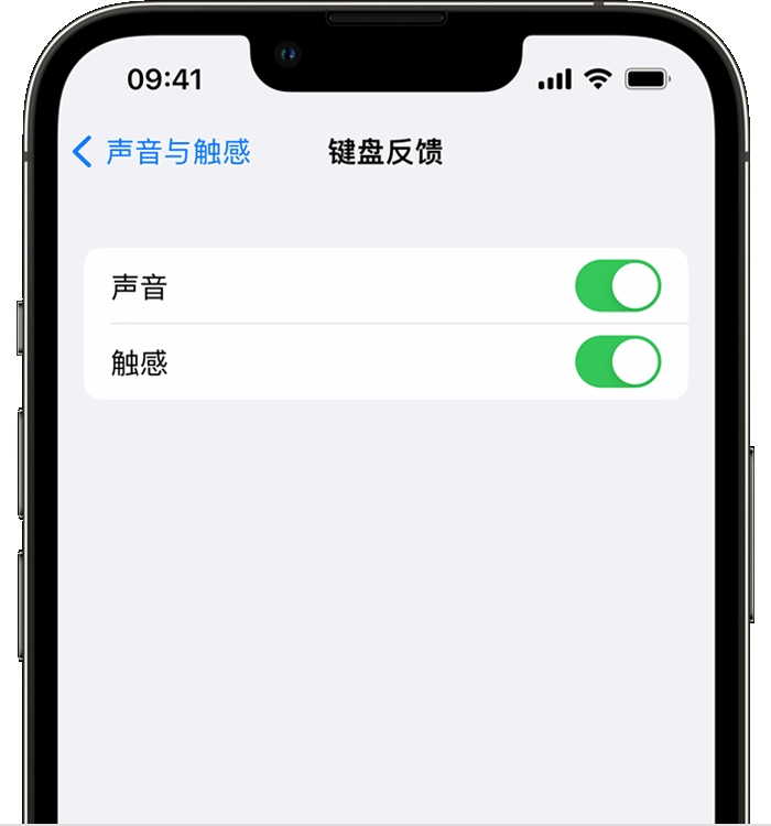 新野苹果14维修店分享如何在 iPhone 14 机型中使用触感键盘 