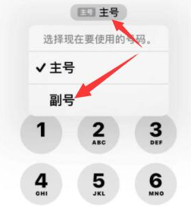 新野苹果14维修店分享iPhone 14 Pro Max使用副卡打电话的方法 