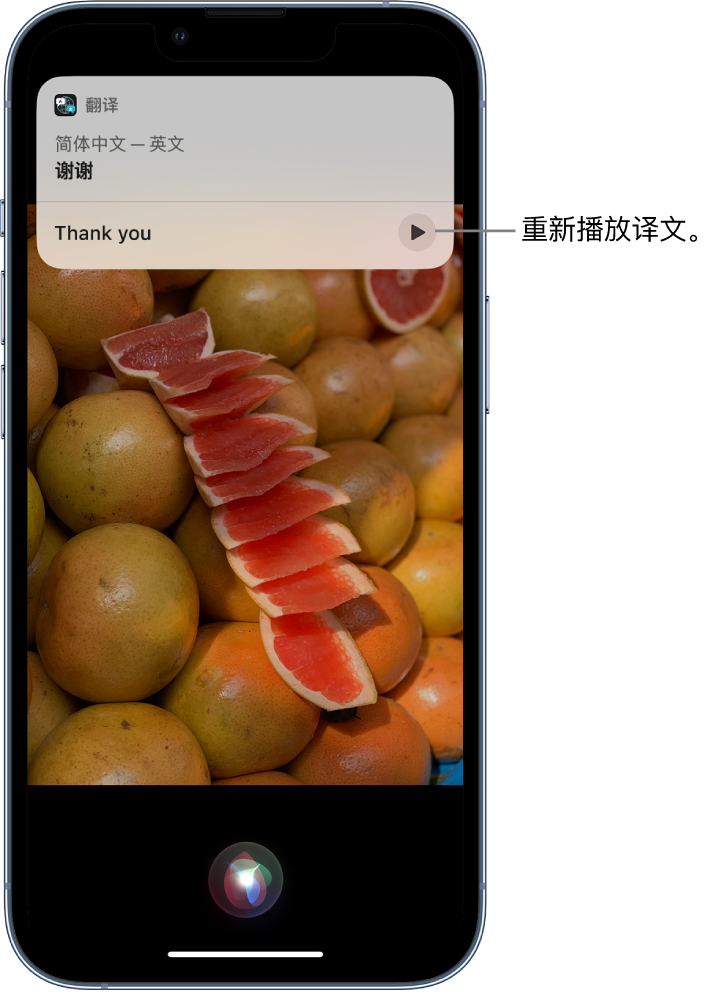 新野苹果14维修分享 iPhone 14 机型中使用 Siri：了解 Siri 能帮你做什么 