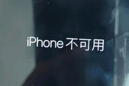 新野苹果服务网点分享锁屏界面显示“iPhone 不可用”如何解决 