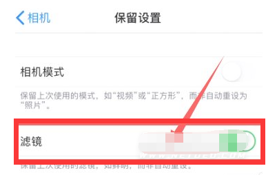 新野苹果13维修分享iPhone13拍照有绿点是怎么回事 