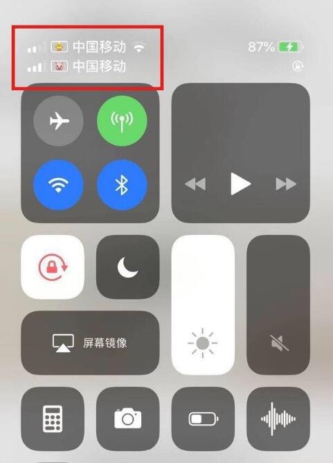 新野苹果手机维修分享为 iPhone 12 双卡设置标签 